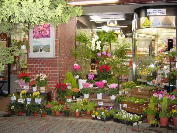 「らぶあんＲＯＳＥ」　（京都府京都市左京区）の花屋店舗写真1